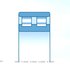 Bearing NN4944HSKD1C0NAP4 NTN