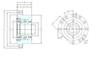 Bearing BSDU 250 FF SNFA