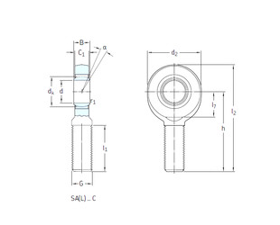 Bearing SAL30C SKF