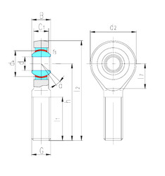 Bearing SAK6C LS