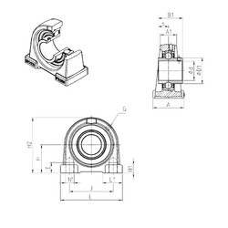 Bearing UCPAE207 SNR