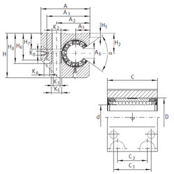 Bearing KGNC 20 C-PP-AS INA