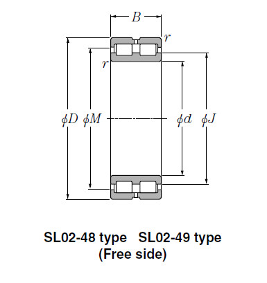 Bearing SL02-4940