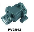 FURNAN PV2R1-25L
