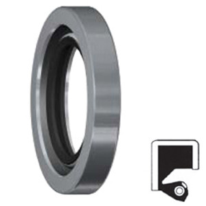 SKF 2200522 / 22X24X0.625 HDS2 D Oil Seals