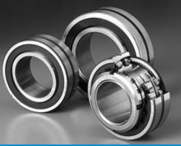 Bearing R06A31V