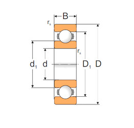 Bearing 6314 MPZ