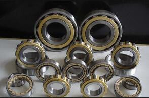 Rexroth hydraulic pump bearings F-204864.RNU