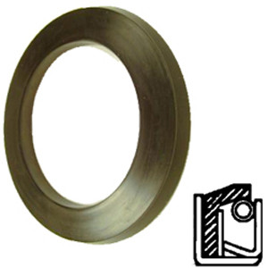 SKF 22005 / 2.205X2.638X0.217 X R Oil Seals #1 image