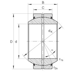 Bearing GE80-FO-2RS INA #1 image