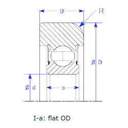 Bearing B25-166 QPSZM NSK #1 image