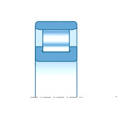Bearing N421 NTN #1 image