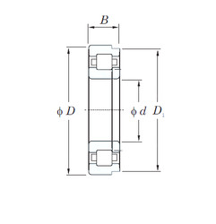Bearing NUP256 KOYO #1 image