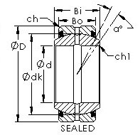 Bearing GEZ95ES-2RS AST #1 image